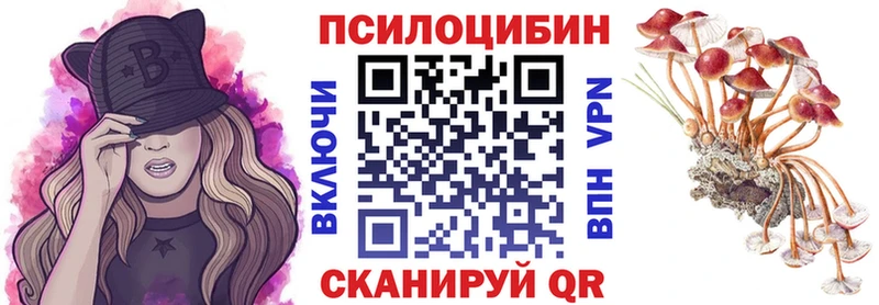 Галлюциногенные грибы прущие грибы Купить закладки Лесосибирск